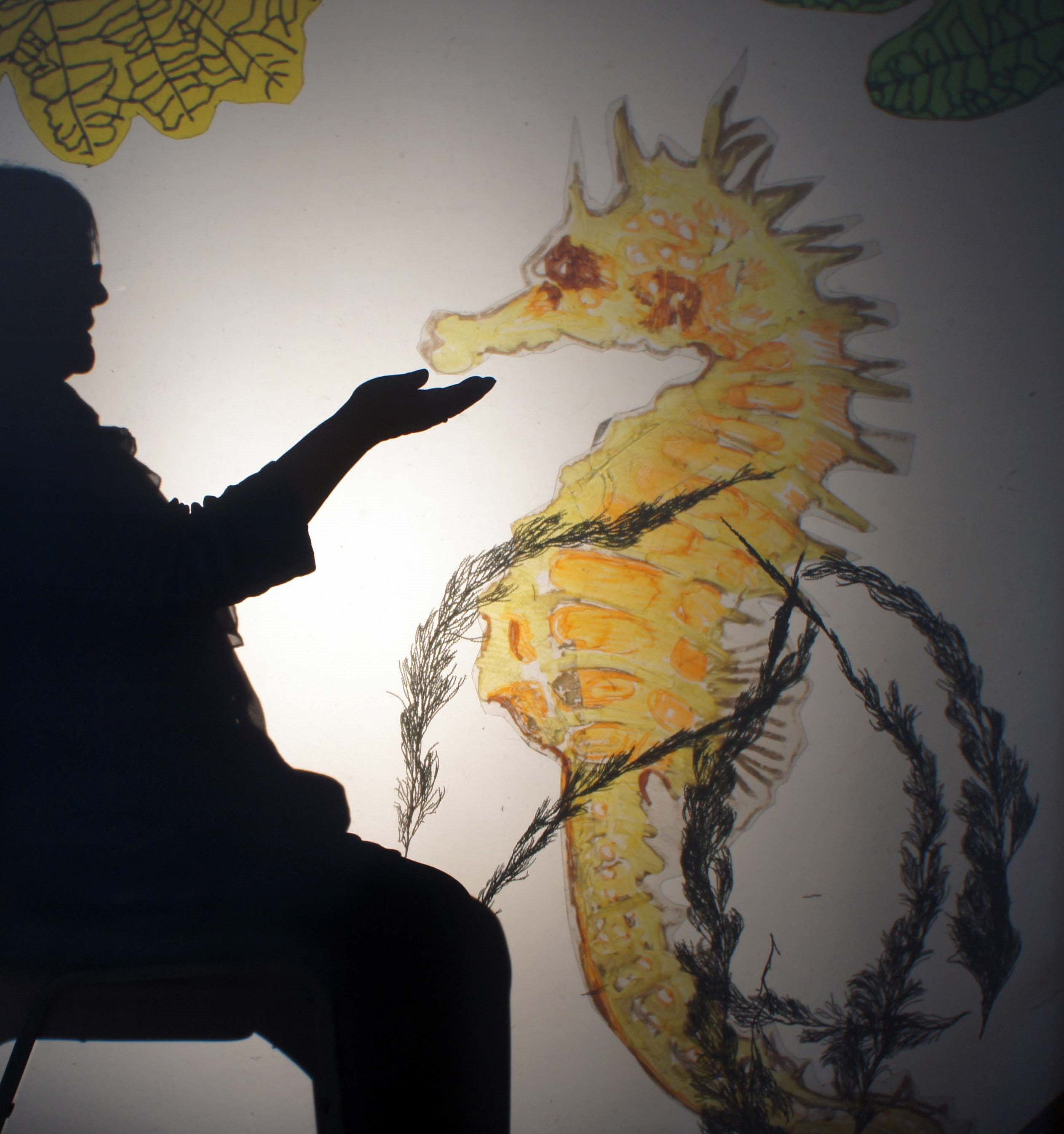 Shadow Theatre with the elderly